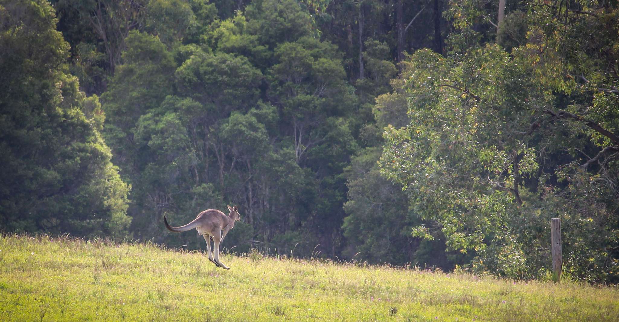 Charter privato della Costa del Sud - Hizvo