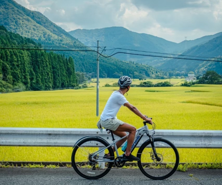 Kansai: Scenic E-Bike tour in the Japanese Countryside