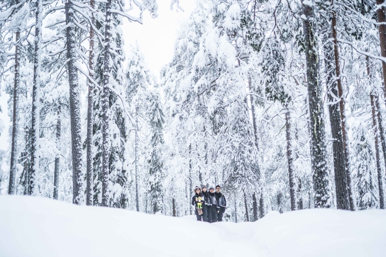 Rovaniemi: Nordic Forest Wilderness Photography Expedition
