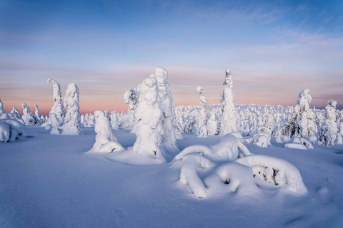 Vanuit Rovaniemi: Riisitunturi hele dag avontuur in de wildernis