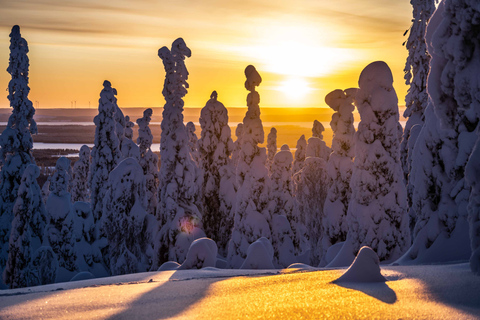 Von Rovaniemi aus: Riisitunturi Ganztägiges Wildnisabenteuer