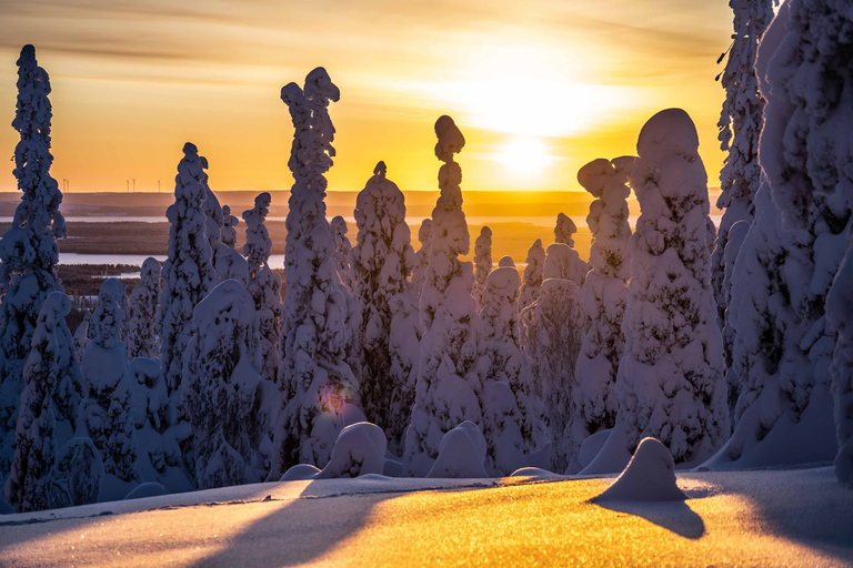 Vanuit Rovaniemi: Riisitunturi hele dag avontuur in de wildernis