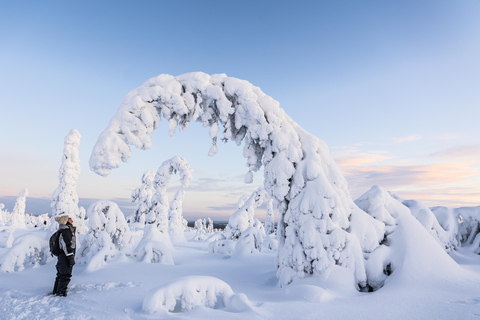 Vanuit Rovaniemi: Riisitunturi hele dag avontuur in de wildernis