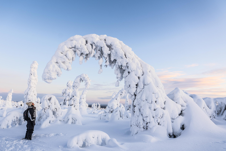 Von Rovaniemi aus: Riisitunturi Ganztägiges Wildnisabenteuer