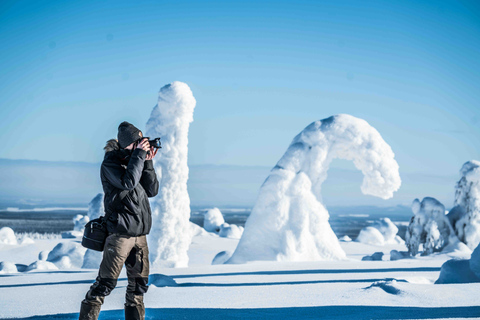 De Rovaniemi: Aventura de dia inteiro na natureza em Riisitunturi