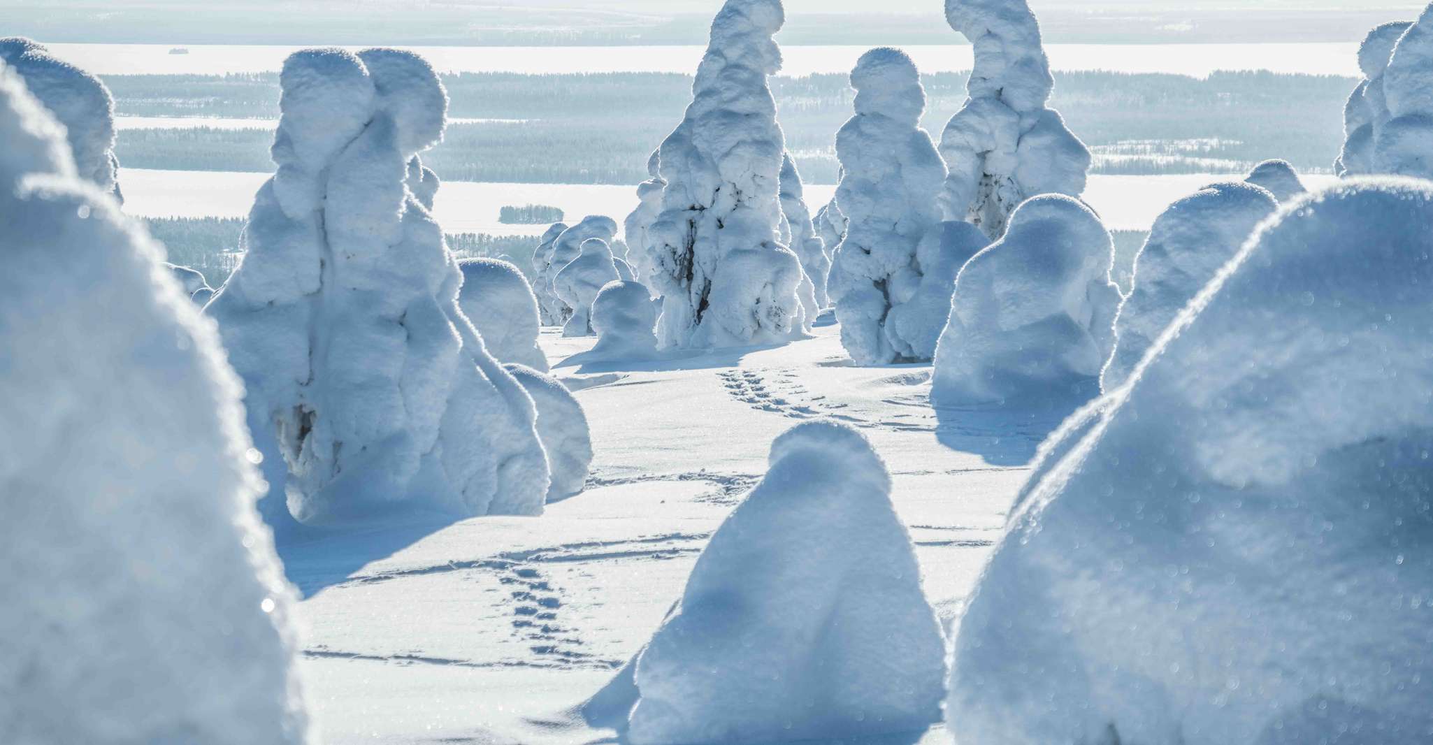 Rovaniemi, Riisitunturi 狂野冒险 - Hizvo