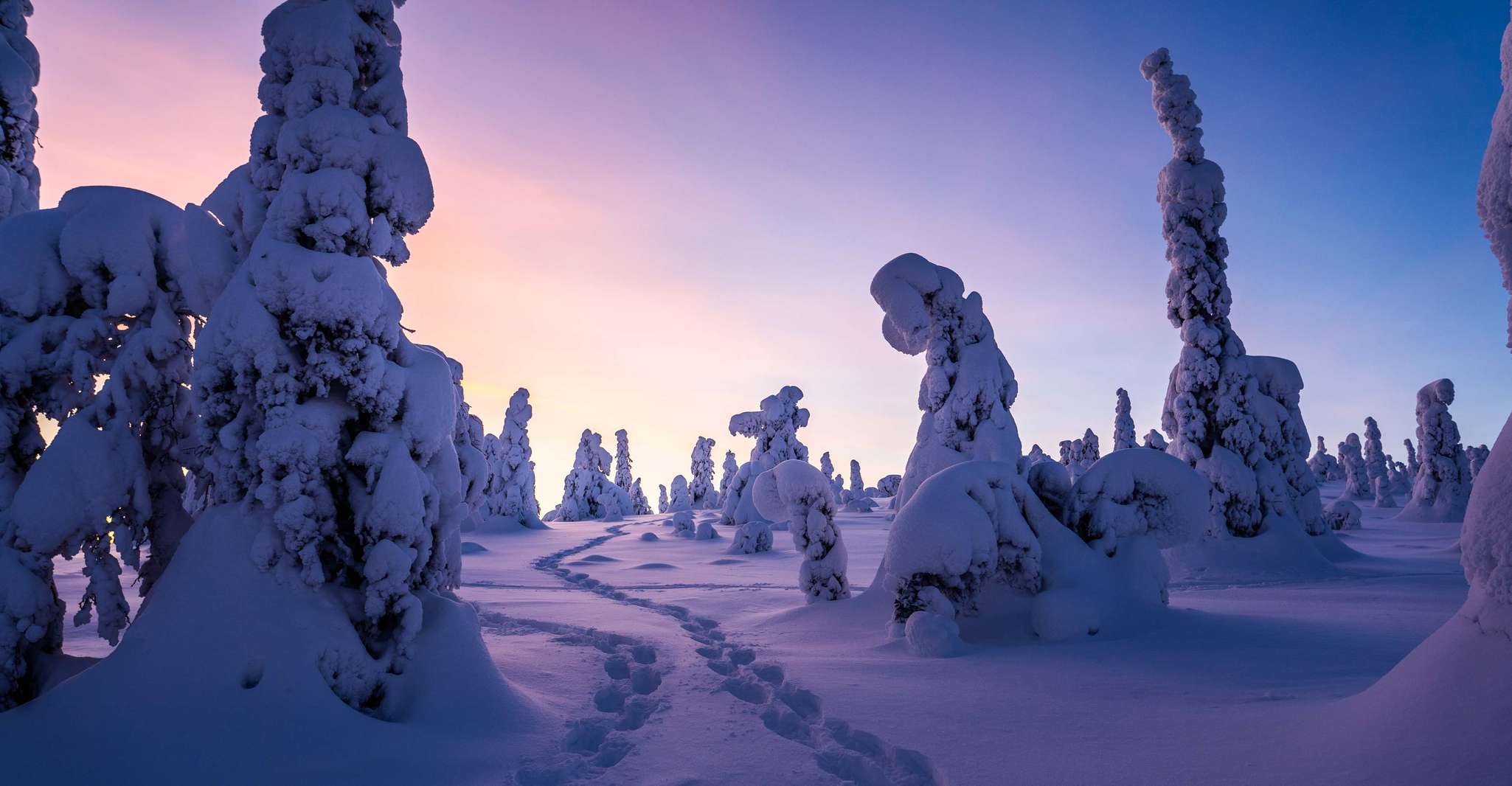 Rovaniemi, Riisitunturi Wilderness Adventure - Hizvo