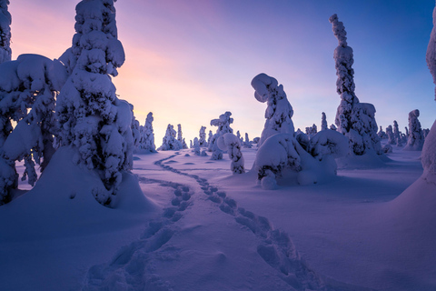 Vanuit Rovaniemi: Riisitunturi hele dag avontuur in de wildernis