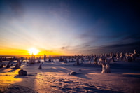 Rovaniemi, Riisitunturi Wilderness Macerası - Hizvo