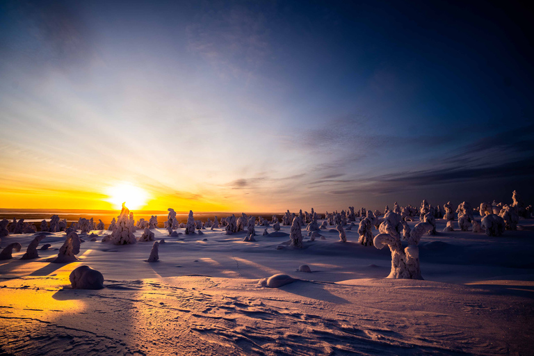 Au départ de Rovaniemi : aventure d&#039;une journée dans la nature sauvage de Riisitunturi