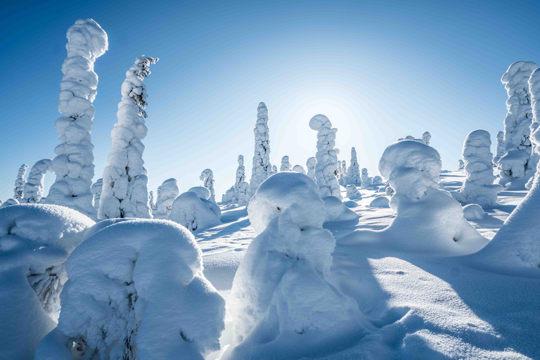 Von Rovaniemi aus: Riisitunturi Ganztägiges Wildnisabenteuer