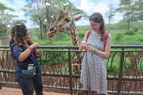 Sheldrick Wildlife Trust&amp;Giraffe Center GuidedTour with FEESHalf Day Sheldrick Wildlife Trust&amp;Giraffe Center Guided Trip