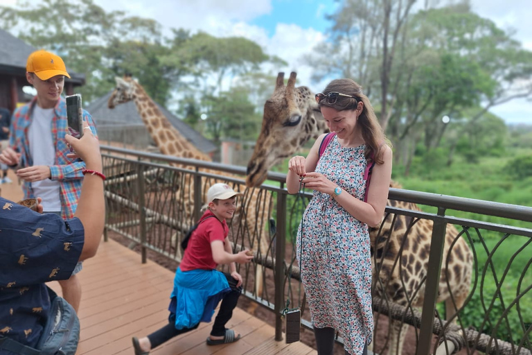 Halve dag rondleiding door Sheldrick Wildlife Trust & Giraffe Centre