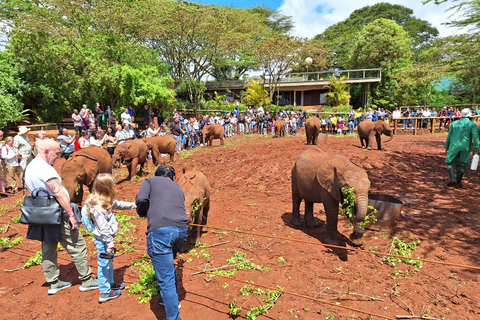 Sheldrick Wildlife Trust&amp;Giraffe Center GuidedTour with FEESHalf Day Sheldrick Wildlife Trust&amp;Giraffe Center Guided Trip