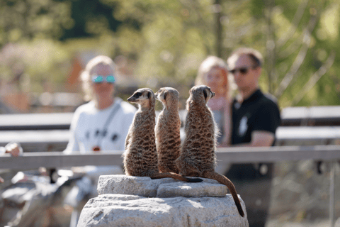 Copenhague: ingresso para o zoológico de Copenhague