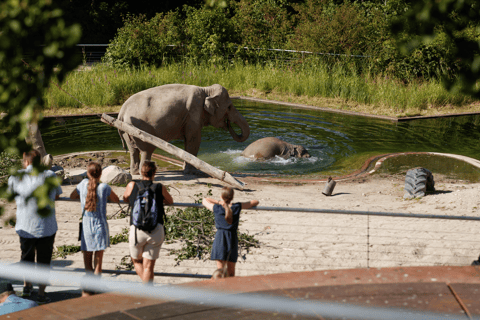 Copenhague : Billet d'entrée au zoo de Copenhague