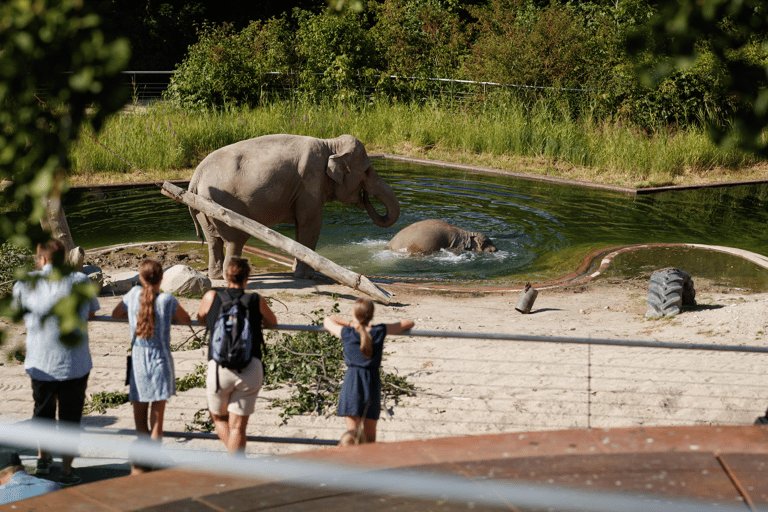 Copenhague Entrada al Zoo de Copenhague