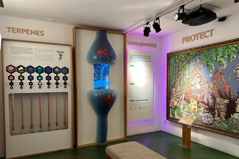 Amsterdam: biglietto d&#039;ingresso al museo della cannabis