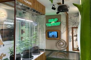 Amsterdam: Eintrittskarte für das Cannabis Museum