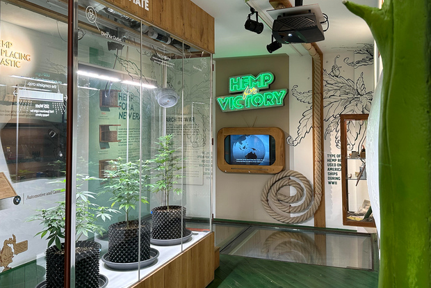 Amsterdã: Ingresso de Entrada Museu da Cannabis c/ Guia de Áudio