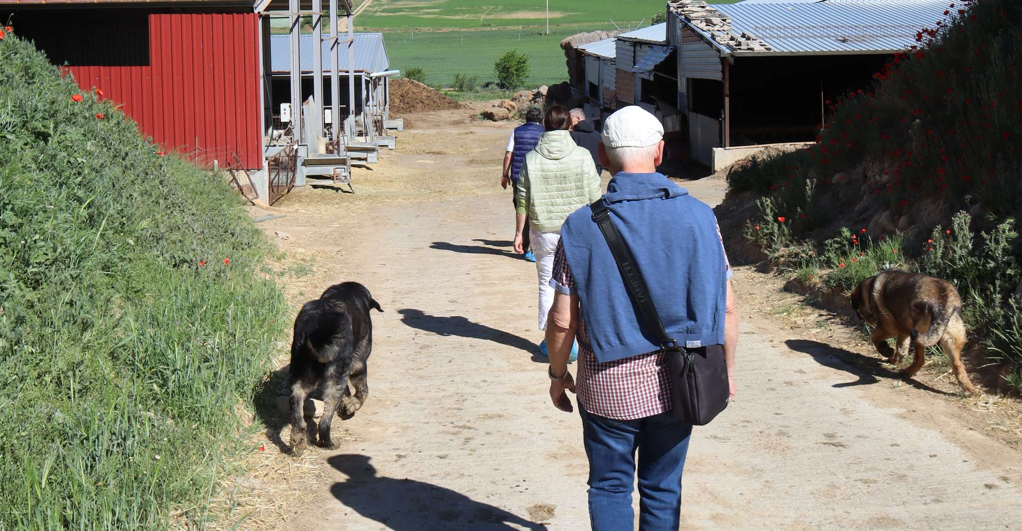 Guía de la visita a la antigua fábrica de queso - Housity