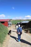 Guía de la visita a la antigua fábrica de queso - Housity