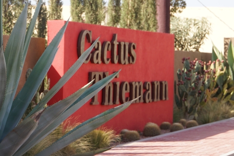 Marrakech : Billet pour le plus grand jardin de cactus d'AfriqueMarrakech : Le plus grand jardin de cactus d'Afrique