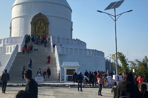 Pokhara : Randonnée d'une journée depuis Sarangkot jusqu'au stupa de la paix mondiale