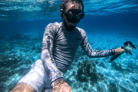 Marseille : Aventure de plongée en apnée à Endoume avec collations et boissonsMarseille : Aventure de snorkeling à Endoume avec snacks et boissons