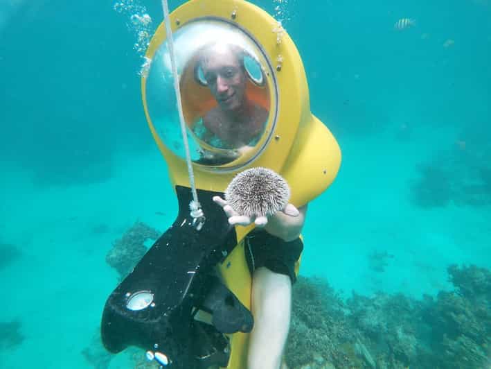 From Punta Cana ScubaDoo, Snorkel & Glass Bottom Boat Tour GetYourGuide