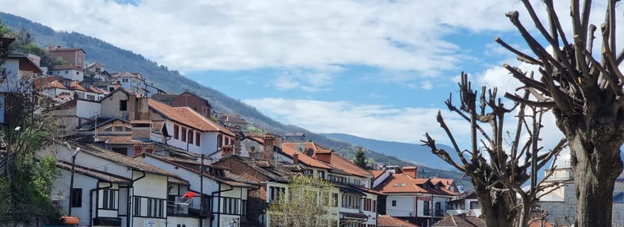 Depuis l'Albanie : Excursion d'une journée à Prizren et Prishtina en option