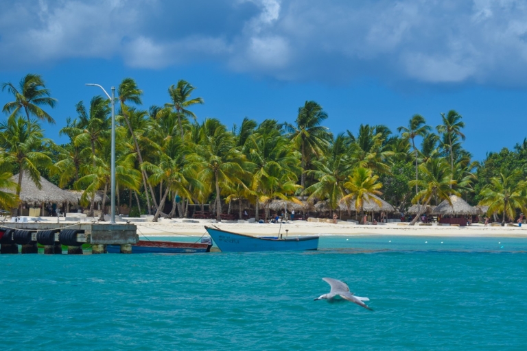 Van Santo Domingo: Saona-eilandtour van een hele dag met lunch