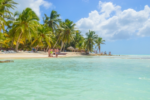 Au départ de Santo Domingo : Excursion d'une journée sur l'île de Saona avec déjeuner