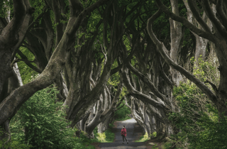 Ab Belfast: 3 Tage Causeway Coast, Derry & Fermanagh Lakes