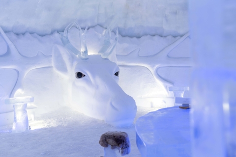Kirkenes: Bilet wstępu do hotelu Snowhotel
