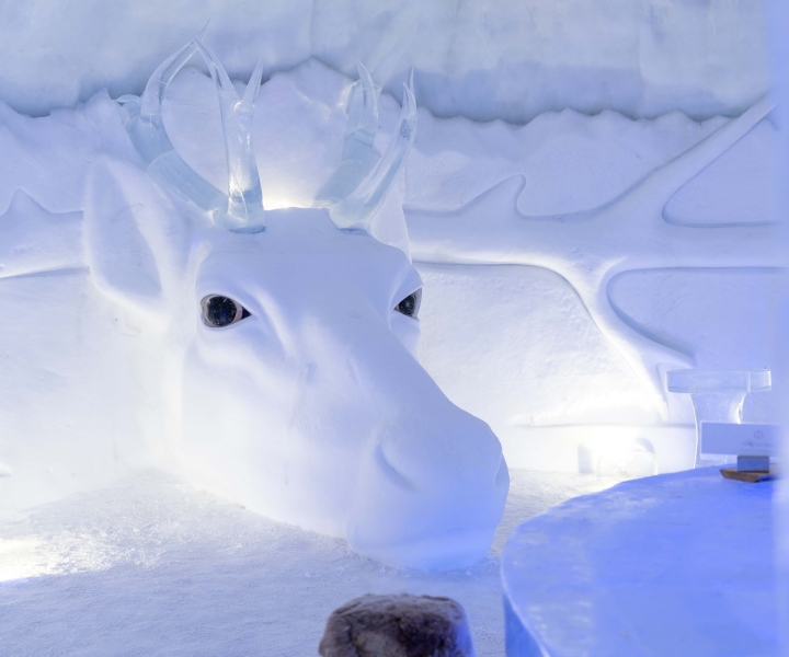 Kirkenes: Snowhotel Entrance Ticket