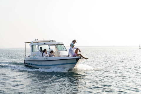 Abu Dhabi: City Sightseeing Cruise z napojami bezalkoholowymiRejs grupowy