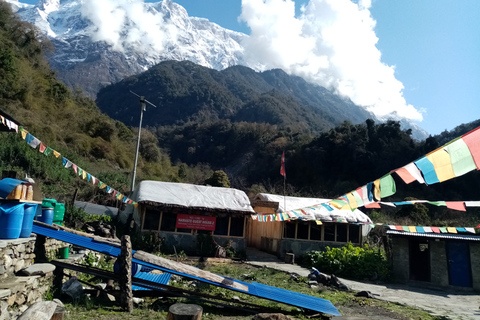 Pokhara : 1 Nuit 2 Jours Kapuche Glacier Lake and Sikles Trek