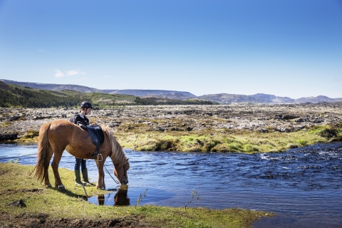 Hafnarfjörður : Randonnée à cheval dans la région de ReykjavikHafnarfjörður : Randonnée à cheval dans la région de Reykjavik VIEW