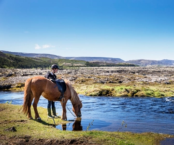Hafnarfjörður: Tour a cavallo nella zona di Reykjavik