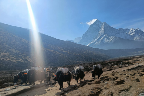 Everest Base Camp Trek