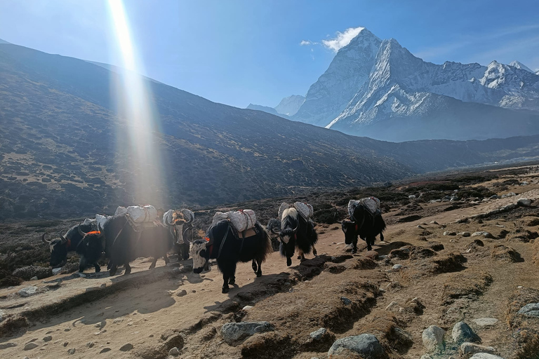 Everest Base Camp Trek