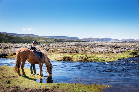 Hafnarfjörður : Randonnée à cheval dans la région de ReykjavikHafnarfjörður : Randonnée à cheval dans la région de Reykjavik VIEW