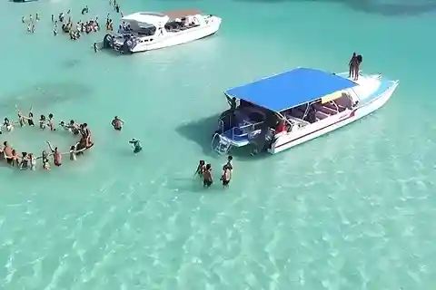 From Bayahibe: Saona Island, Open Bar, Speedboat & Lunch