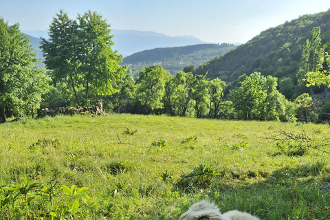 Sarajevo: Guided Nature Walk to Barice & Čavljak from Biosko