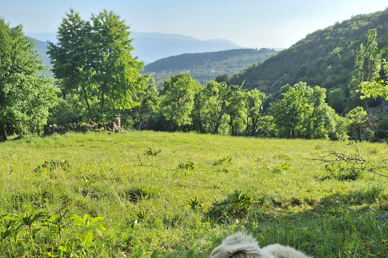 Sarajevo: Guided Nature Walk to Barice & Čavljak from Biosko