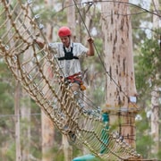 Pemberton: 2.5h Ultimate Ziplines & High Ropes Experience