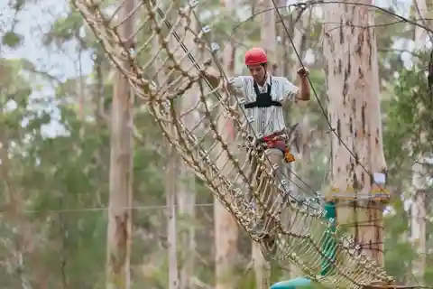 Pemberton: 2.5 Hour Ultimate Pass with Ziplines & High Ropes