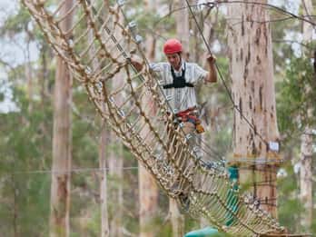 Pemberton: Pass Ultimate di 2,5 ore con Zipline e corde alte