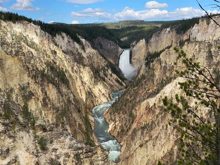 The Best of Yellowstone National Park Tour GetYourGuide